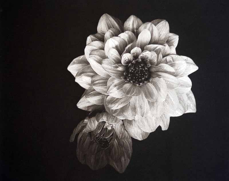 Mère et fils- Annemarie-Borg-Photography-9